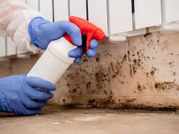 Mold Remediation for Rental Properties in El Mirage, AZ